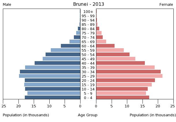 Age structure in Brunei