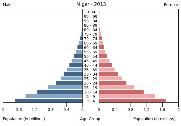 Age structure in Niger