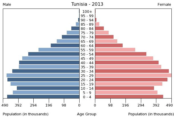 Age structure in Tunisia