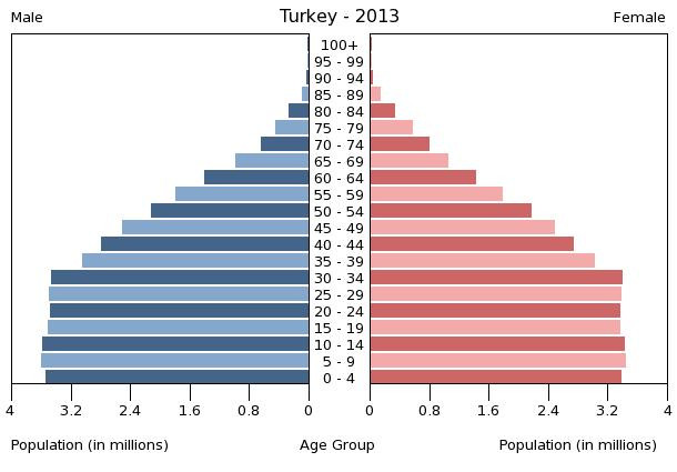 Age structure in Turkey